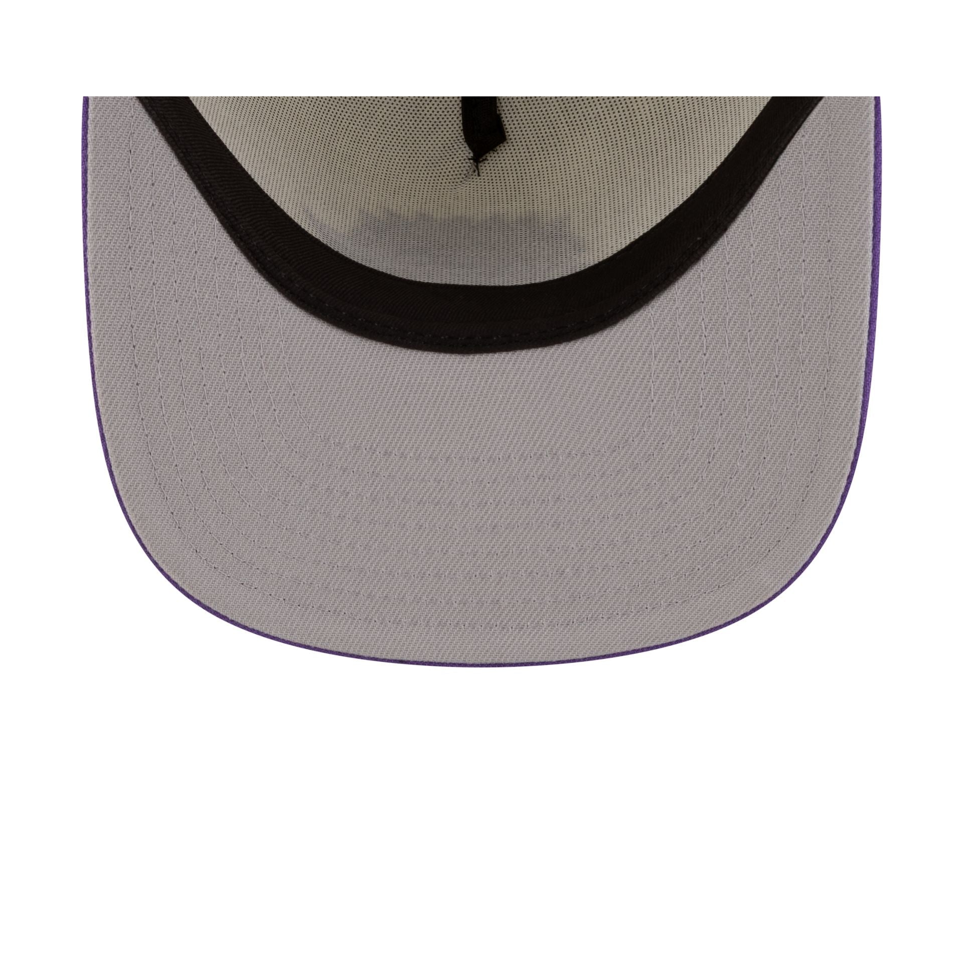 Toronto Raptors 1995-2008 Hardwood Classics Express Chrome White 9FIFTY A-Frame Snapback Hat
