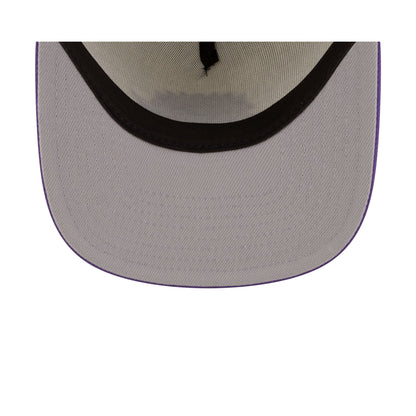 Toronto Raptors 1995-2008 Hardwood Classics Express Chrome White 9FIFTY A-Frame Snapback Hat