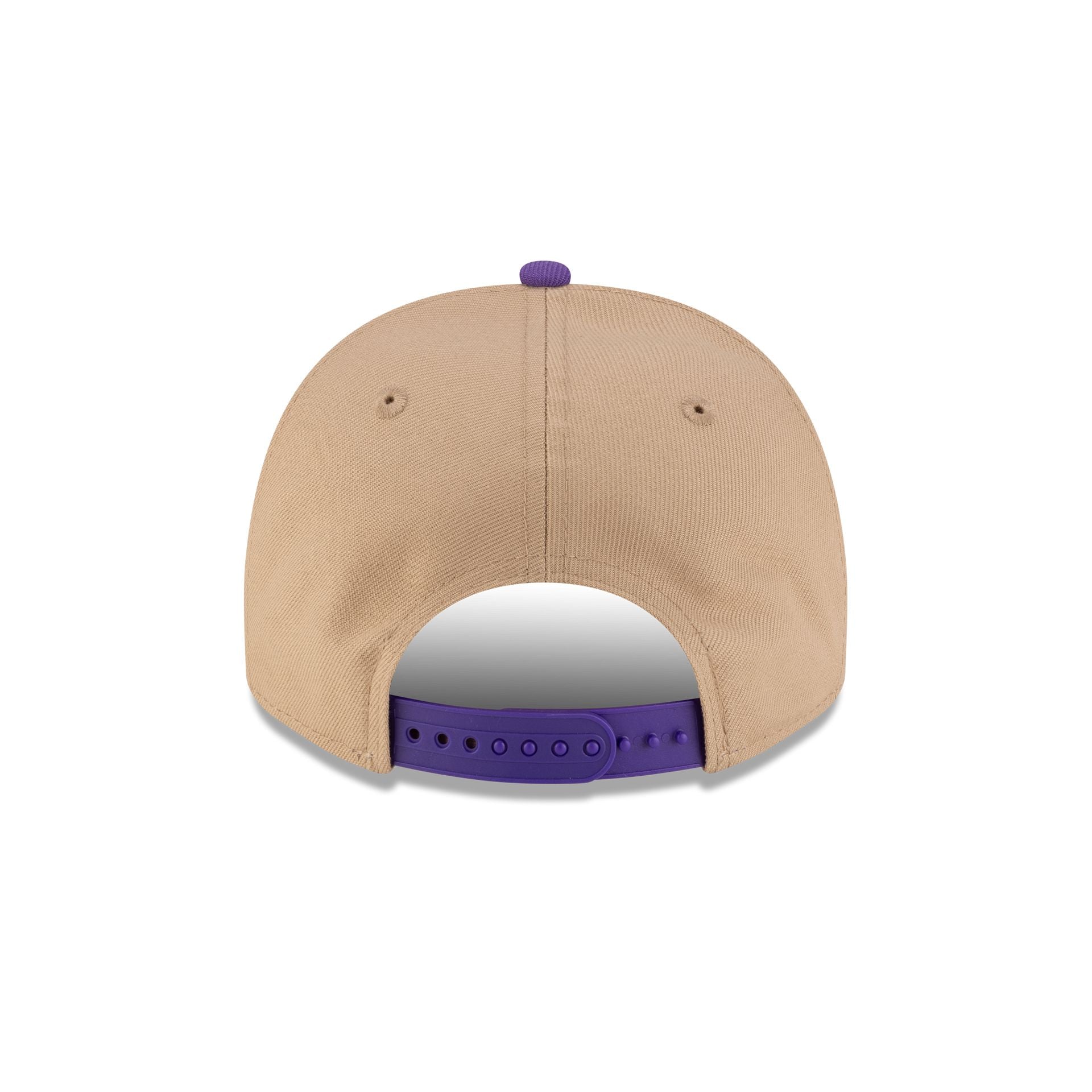 Toronto Raptors 1995-2008 Hardwood Classics Liner Camel 9FIFTY A-Frame Snapback Hat