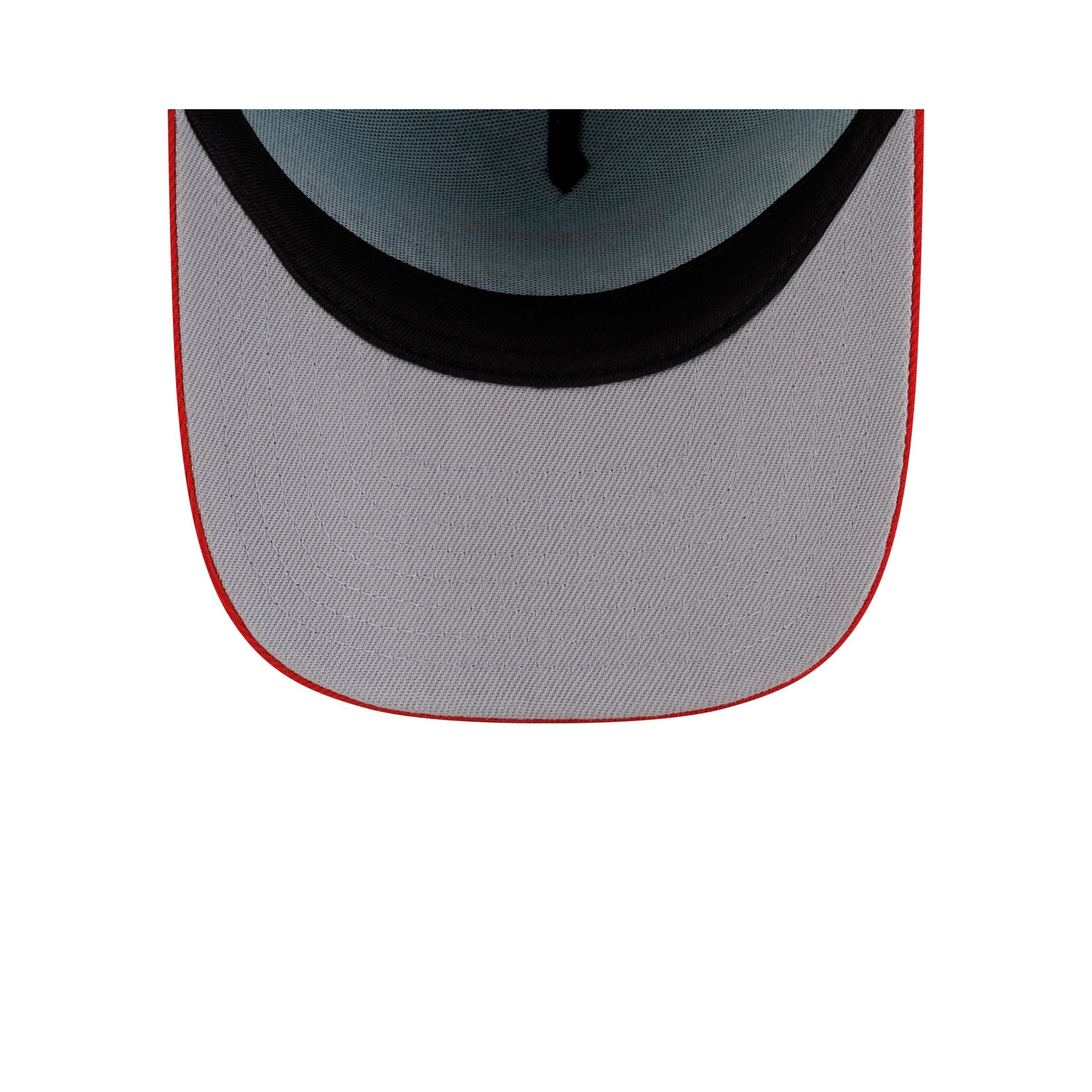Vancouver Grizzlies Hardwood Classics 90s Script 9FIFTY A-Frame Snapback Hat