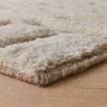 Adini Hand-Knotted Area Rug