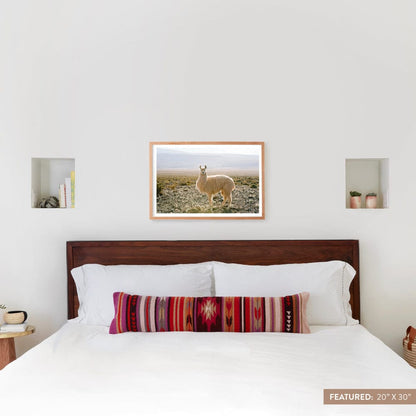 Atacama Desert