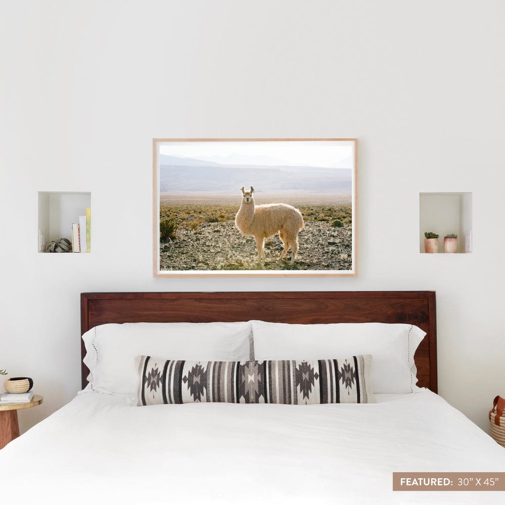 Atacama Desert