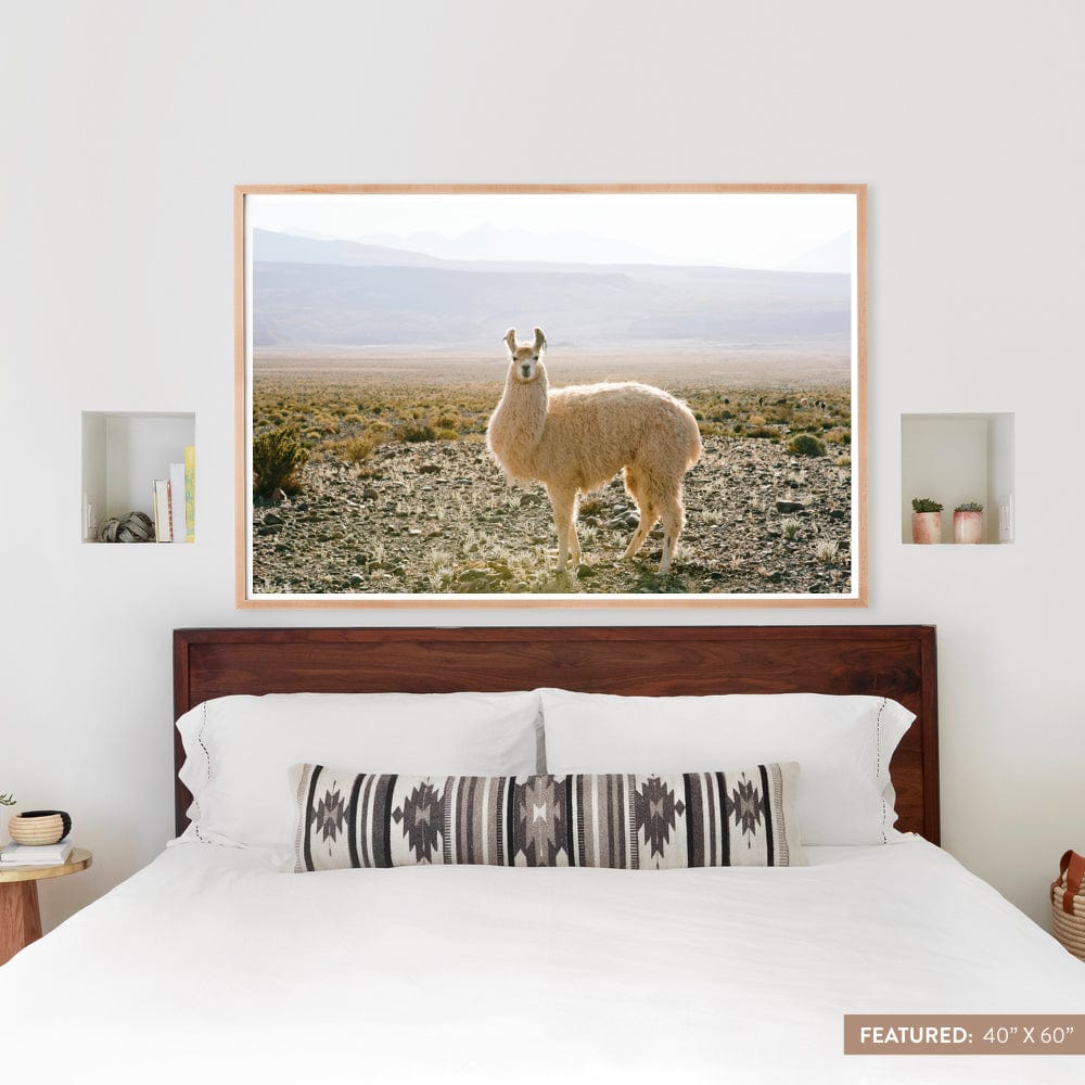 Atacama Desert