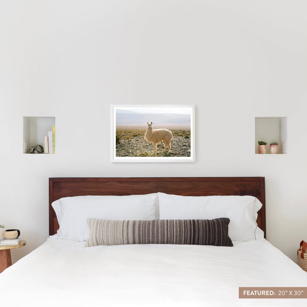Atacama Desert