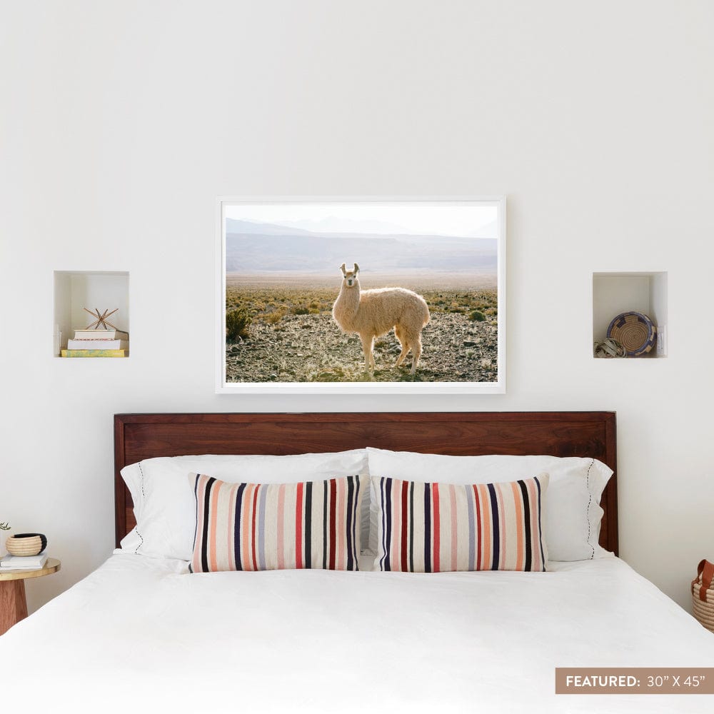 Atacama Desert