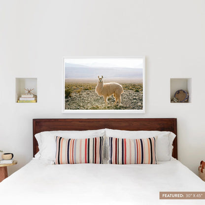 Atacama Desert