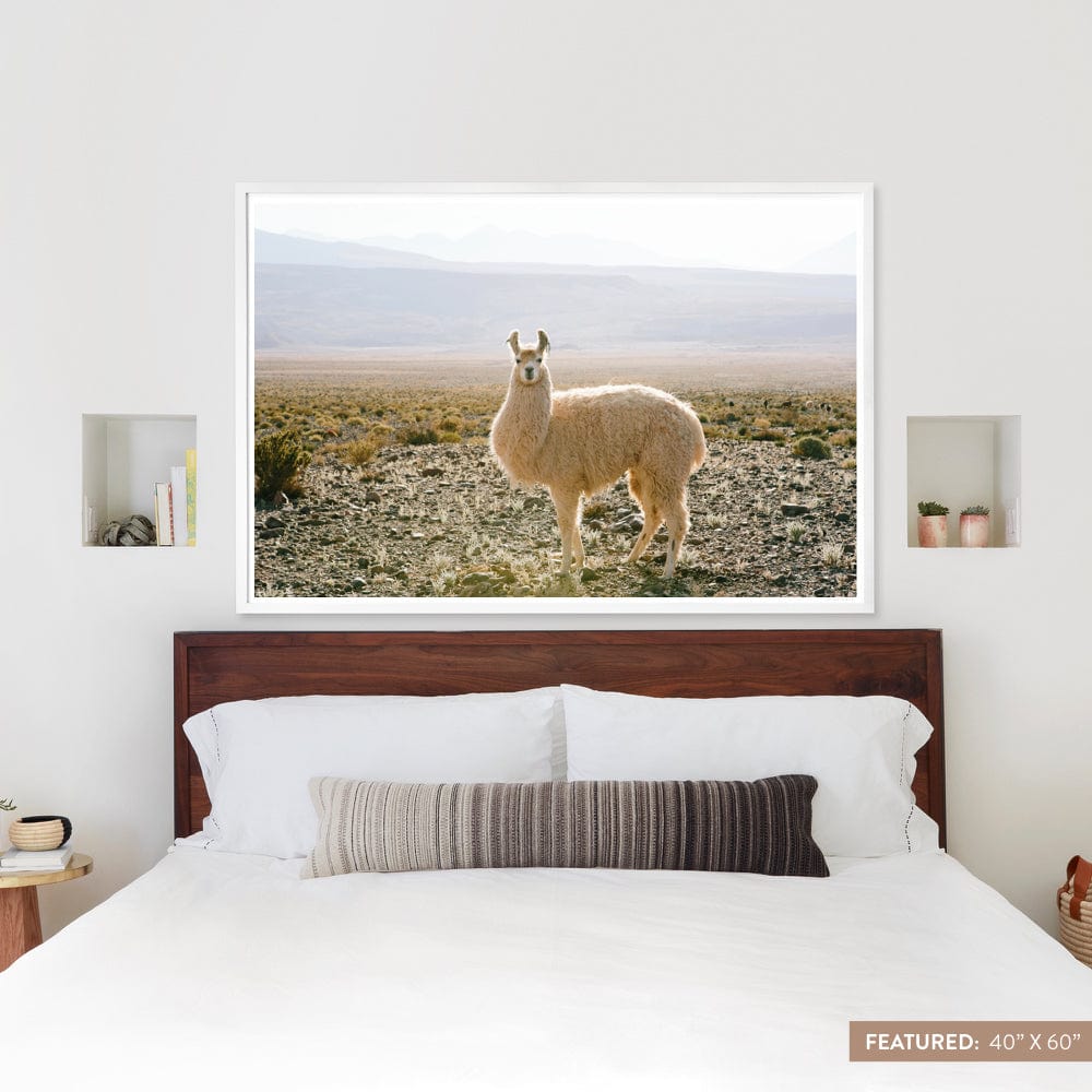 Atacama Desert