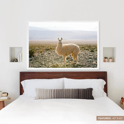 Atacama Desert
