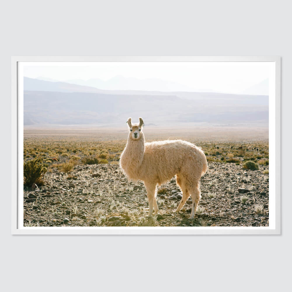 Atacama Desert