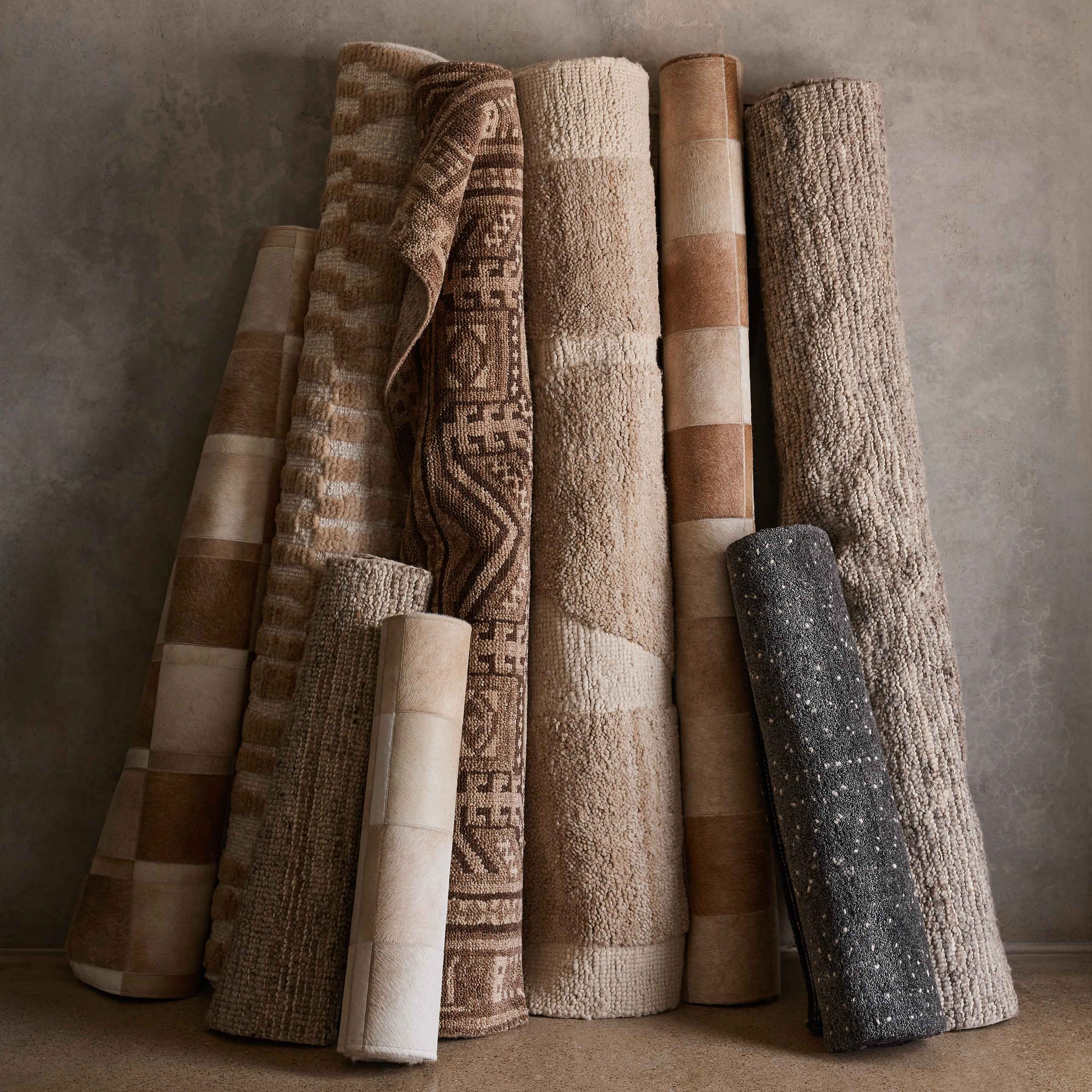 Atashi Hand-Knotted Accent Rug