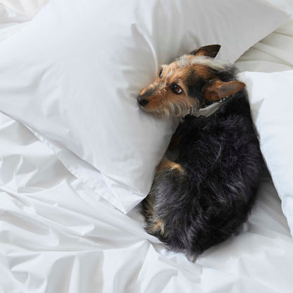 Classic Percale Duvet Set Bundle