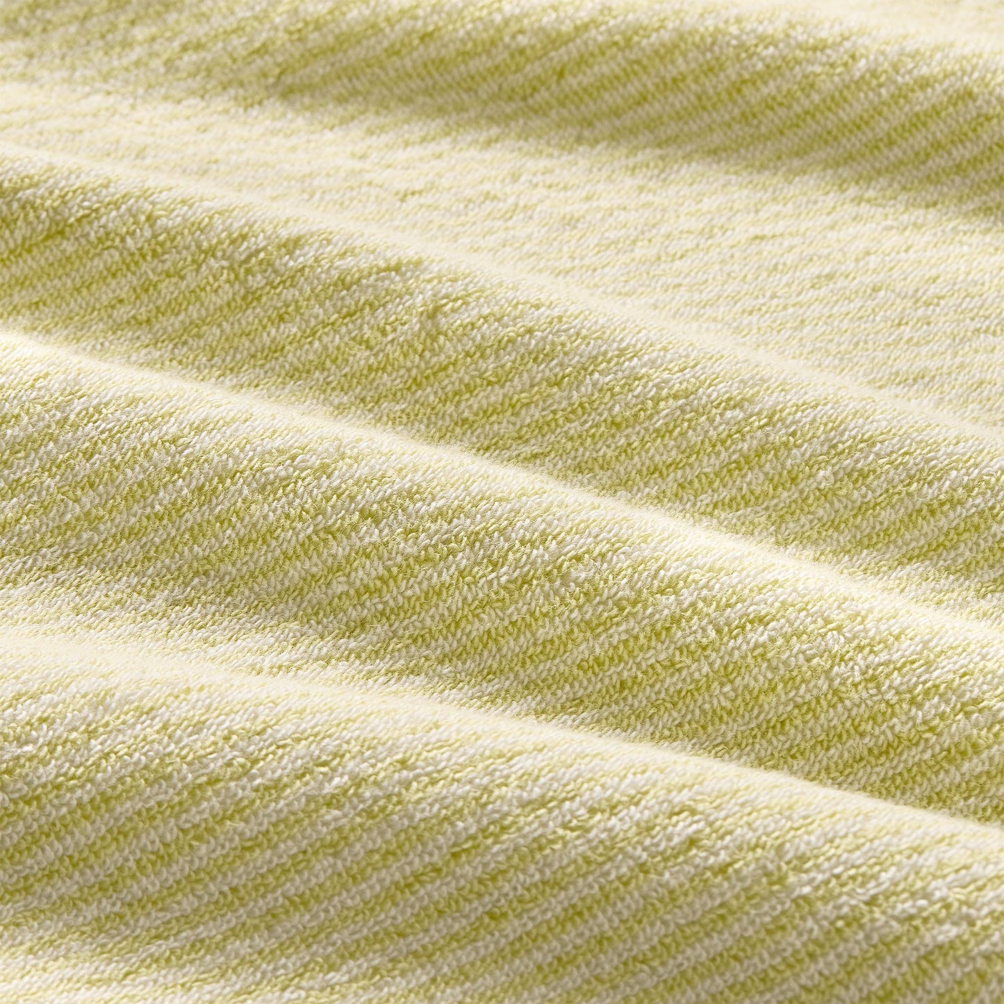 Plush Turkish Cotton Hand Towels Set of 2