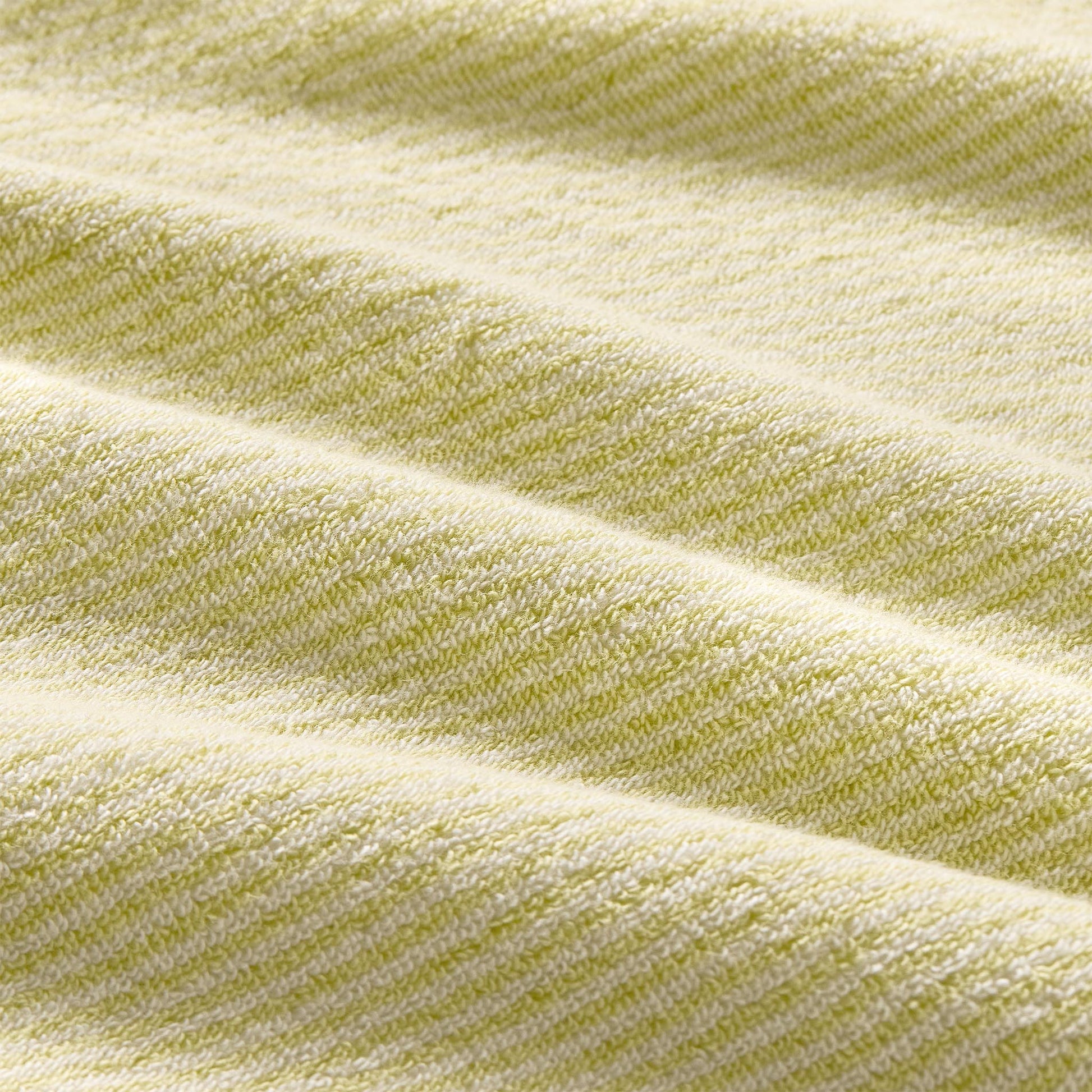 Plush Turkish Cotton Hand Towels Set of 2