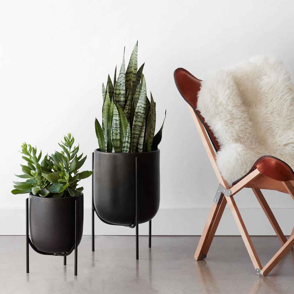 Cantaro Pots - Multiple Sizes