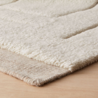 Ishir Hand-Knotted Area Rug