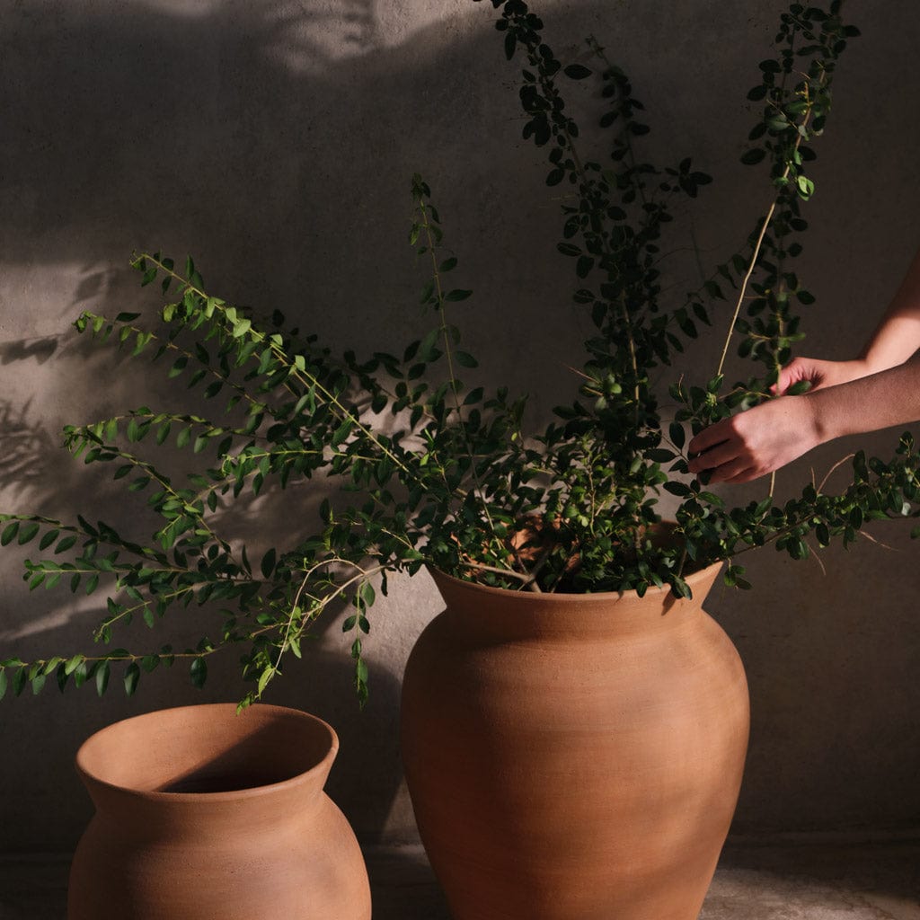 Lafayette Planter