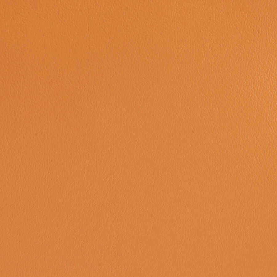 Slim Passport Case