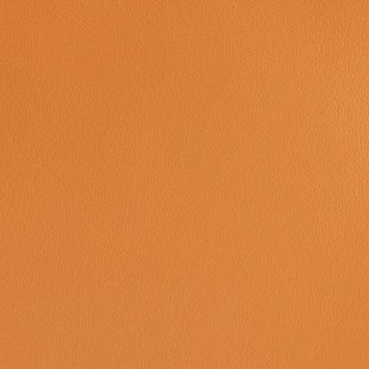 Slim Passport Case