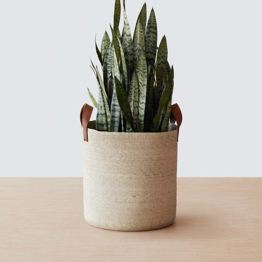 Mercado Storage Baskets - Round
