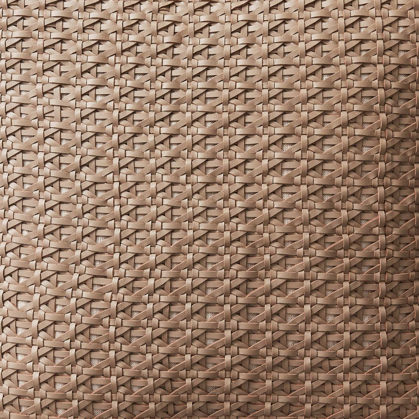 Nehali Leather Pillow