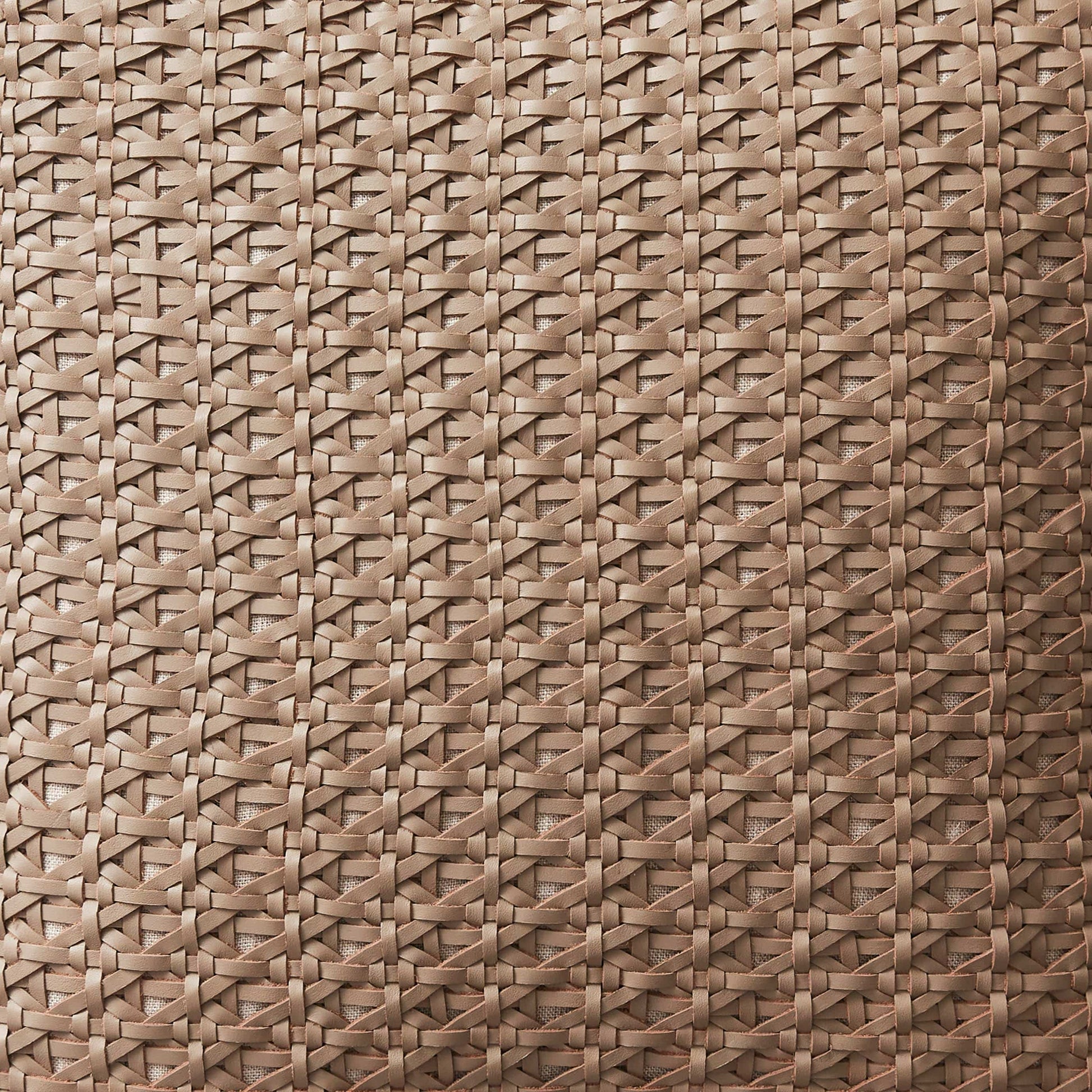 Nehali Leather Pillow