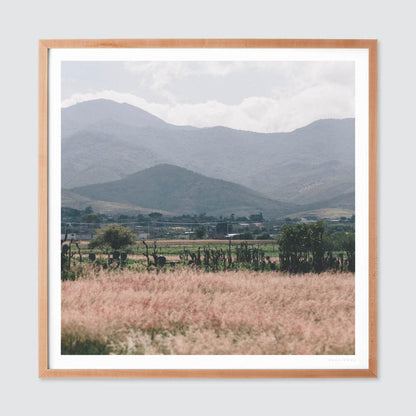 Oaxaca .02