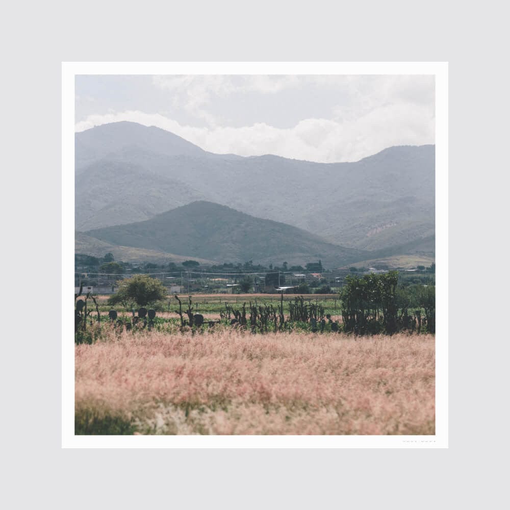 Oaxaca .02