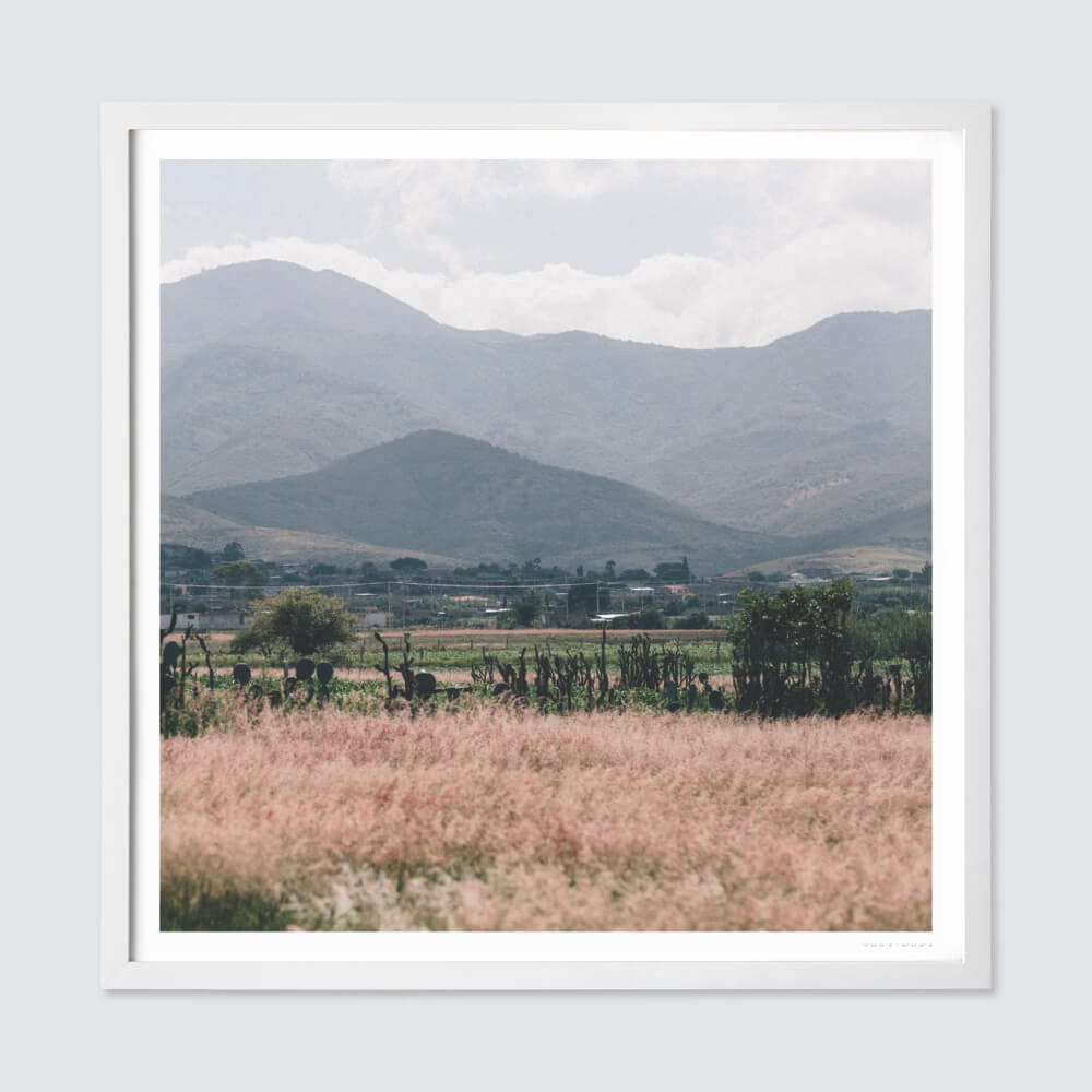 Oaxaca .02