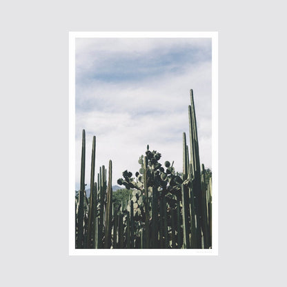 Oaxaca .03