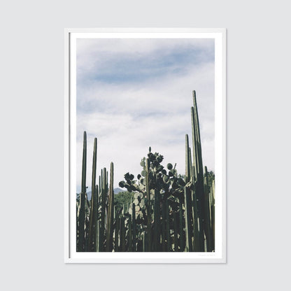 Oaxaca .03