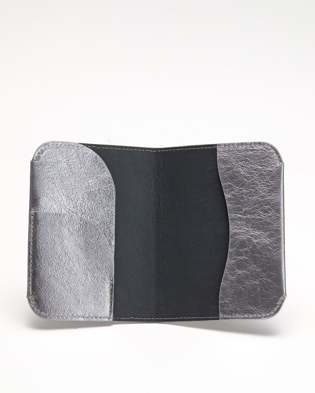Passport Case (Shimmer)