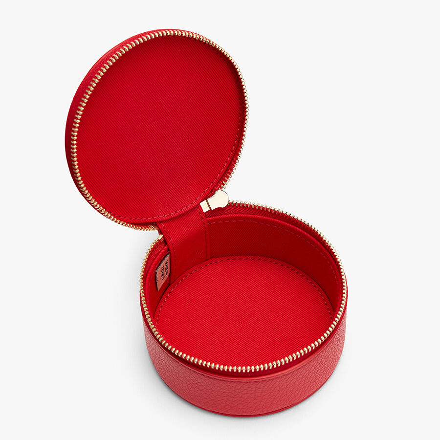 Mini Organizer Case (Previous Version)