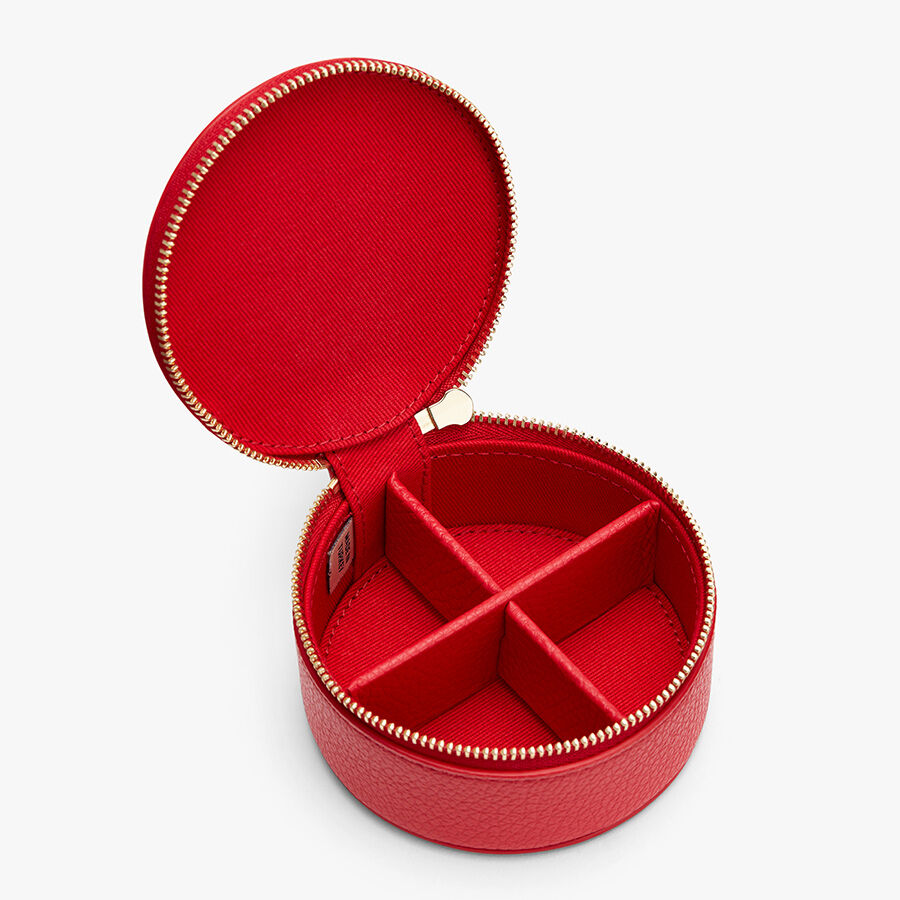 Mini Organizer Case (Previous Version)