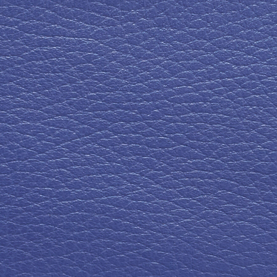 Mini Travel Case (The Original)