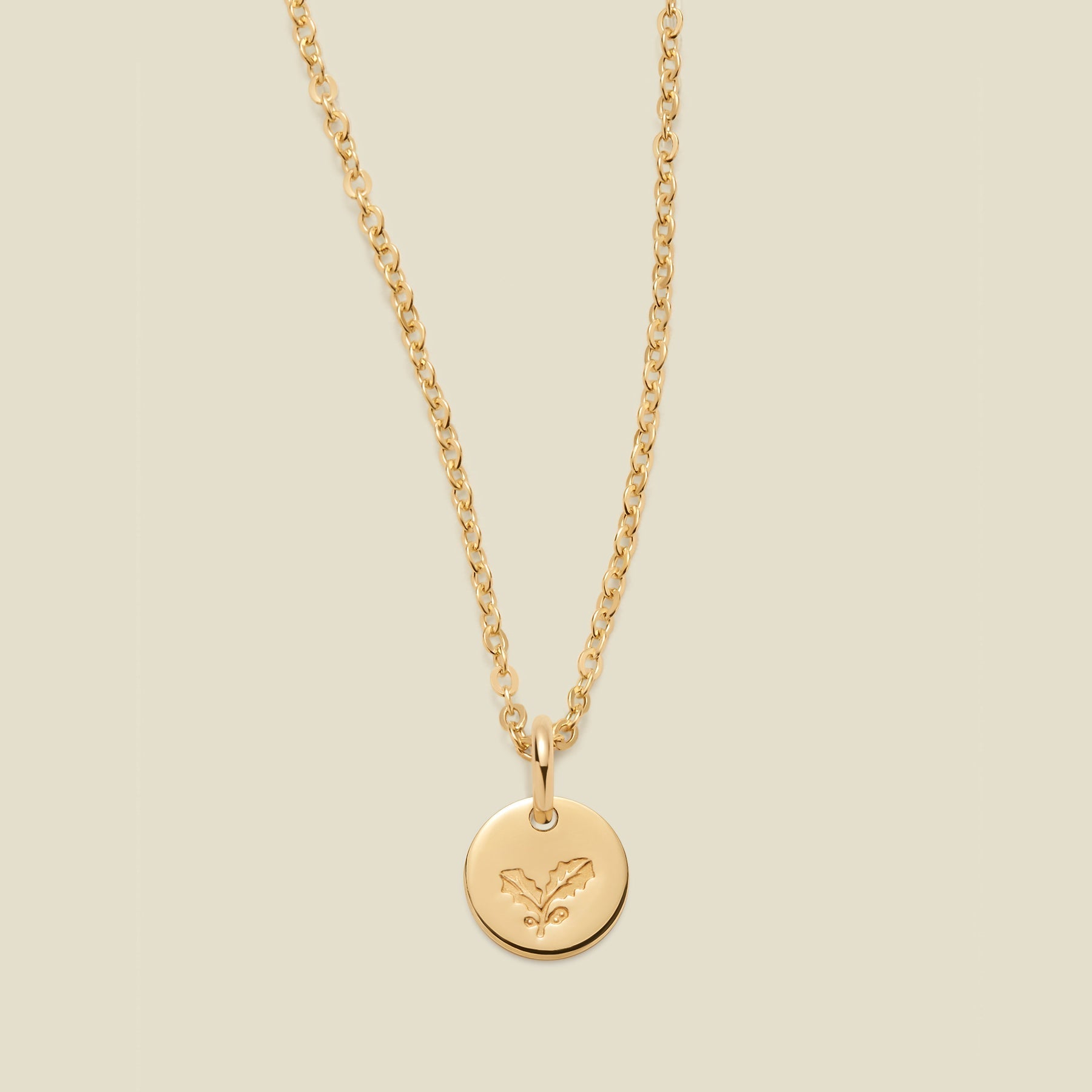 December Birth Flower Necklace