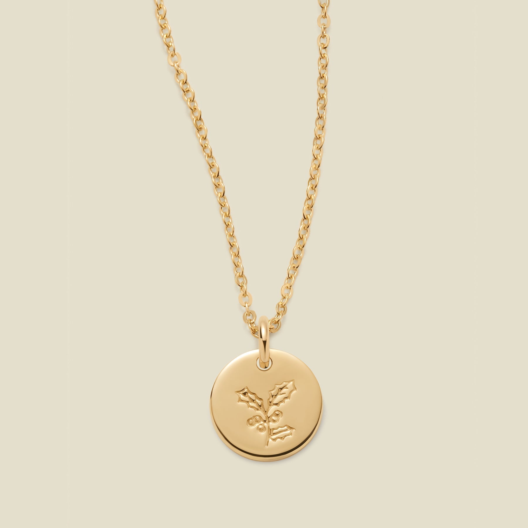 December Birth Flower Necklace