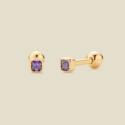 February Birthstone Stud Earrings | Final Sale